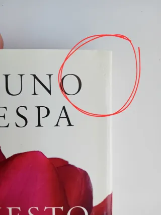 Questo amore di Bruno Vespa