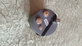Pendientes TOUS plata
