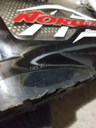 Botas de esquí Nordica