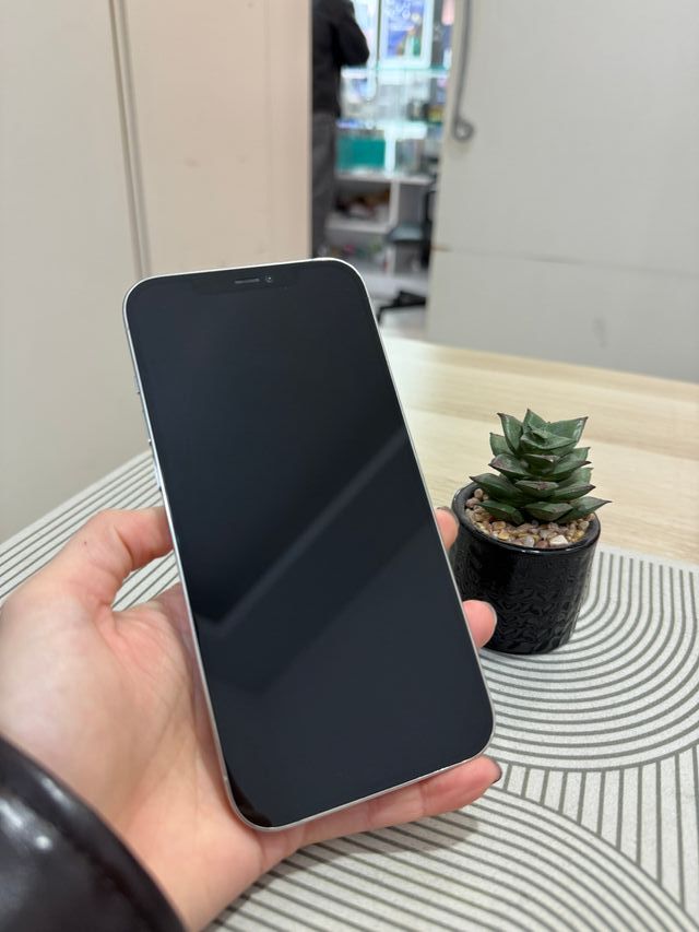 iPhone 12 Pro Max 256gb como nuevo