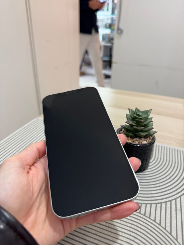 iPhone 12 Pro Max 256gb como nuevo