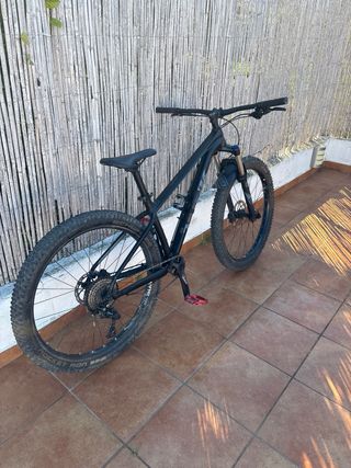 Bicicleta Trek Roscoe 7 (2018)