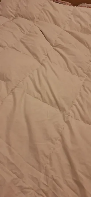 Edredón plumón oca 180x215 – 300 g/m² – 95 €