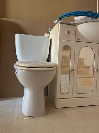 Mueble baño lavabo, grifo y váter