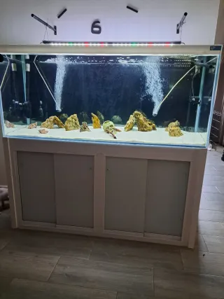Acuario 450L Blanco Completo