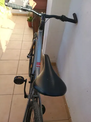 Bicicleta Specialized Centrum Plata