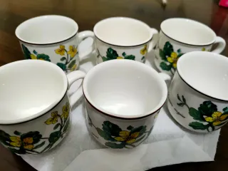 Sei Tazze Villeroy & Boch Botanica