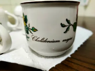 Sei Tazze Villeroy & Boch Botanica