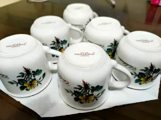 Sei Tazze Villeroy & Boch Botanica