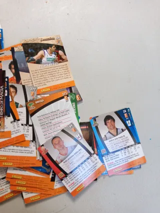 Cromos Liga ACB 08-09