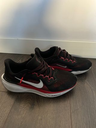 Scarpe da corsa Nike Pegasus per uomo/donna