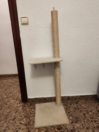 Conjunto gato: escalones, rascador, cama