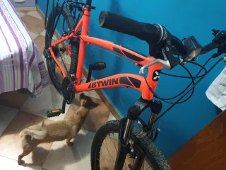 Bicicleta B'TWIN Naranja