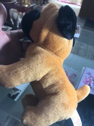 Peluche cane carino per bambini