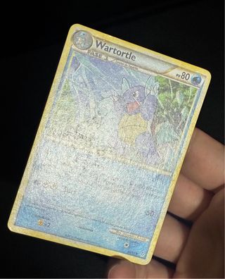 Carte Pokémon Wartortle