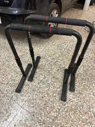 Barras Dips Domyos TS 100