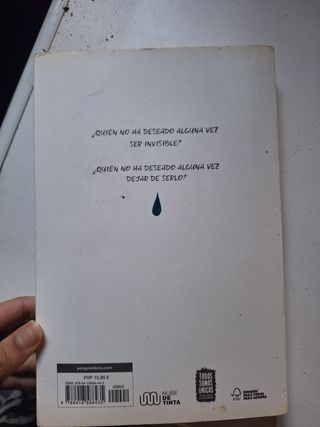 Invisible / Invisible (Spanish Edition)