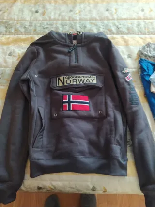 Sudadera Geographical Norway Gris