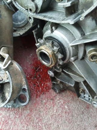 Piñón Tuerca Arandela Derbi Start 3