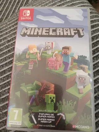 Minecraft Nintendo Switch