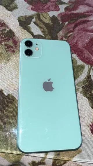 iPhone 11 Verde, in perfette condizioni