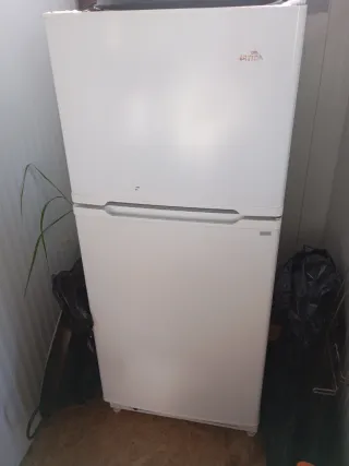 Nevera gas/eléctrica