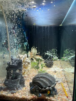 Acuario Aquarlantis 100L con Accesorios