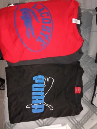 Lote Ropa Talla M/L Nike Adidas Zara Puma