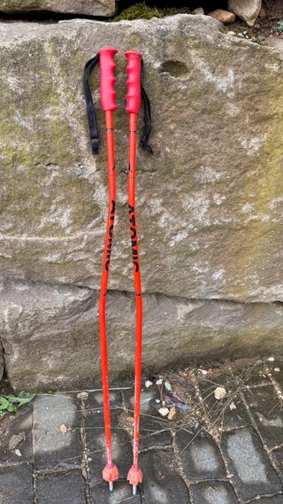 Bastoni da sci ATOMIC da competizione gigante 105