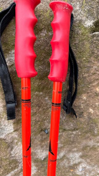 Bastoni da sci ATOMIC da competizione gigante 105