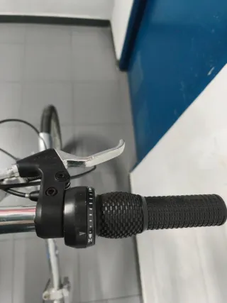 Bicicleta Plegable Plata