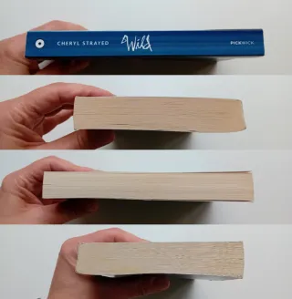 Wild di Cheryl Strayed