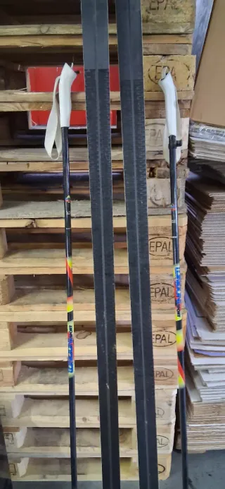 Sci da fondo Fischer Standard 2m