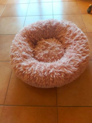 Cuccia pelosa gatti cani