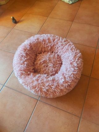 Cuccia pelosa gatti cani