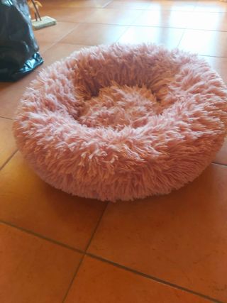 Cuccia pelosa gatti cani