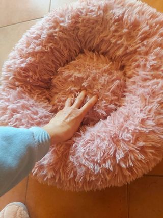 Cuccia pelosa gatti cani