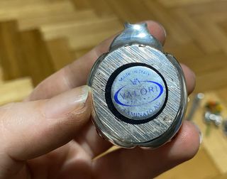 Coccinella laminata in argento