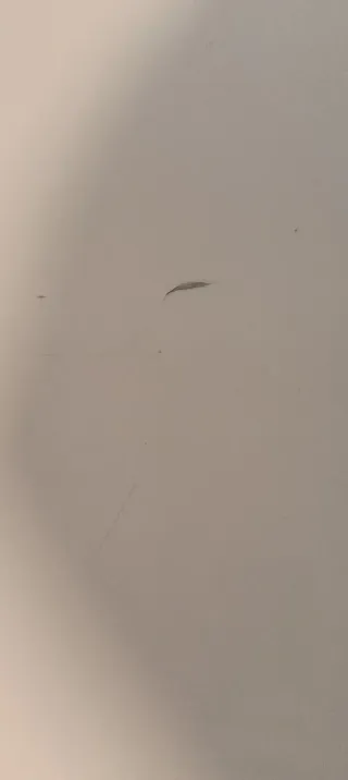 Mesa comedor lacada, brillo blanca.