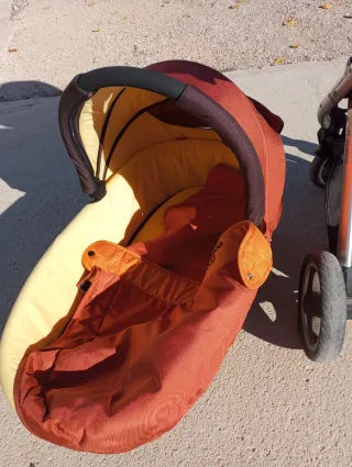 Carro y cuco de paseo para bebés