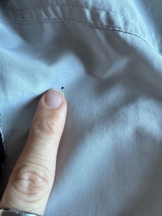 Chaqueta Champion Vintage Gris