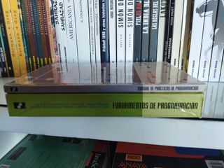Lote Fundamentos y Manual Prácticas Programación