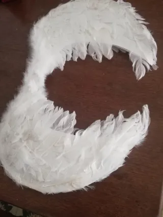 Alas blancas de plumas, para disfraz.