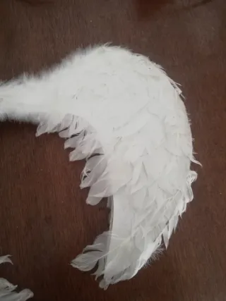 Alas blancas de plumas, para disfraz.