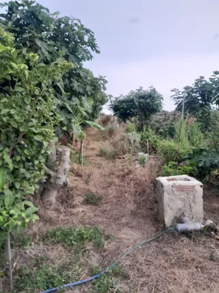 Terreno en venta 5000m2