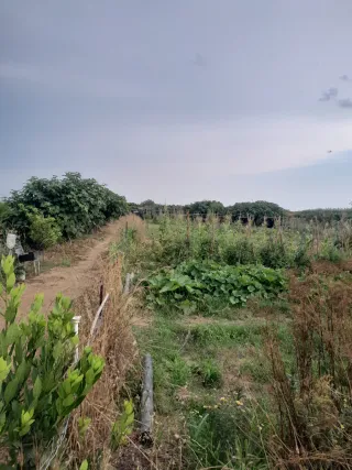 Terreno en venta 5000m2