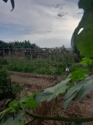 Terreno en venta 5000m2