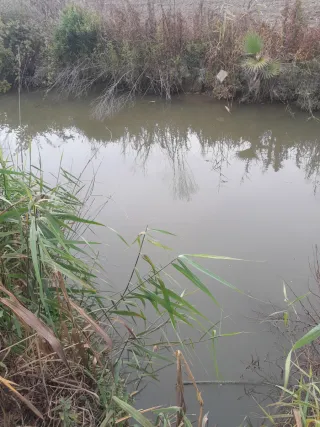 Terreno en venta 5000m2