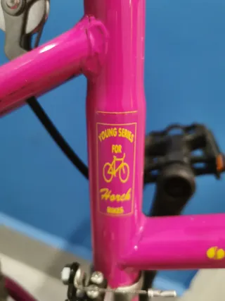 Bicicleta niña 24" rosa