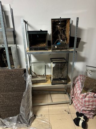 Lote terrarios varios tamaños